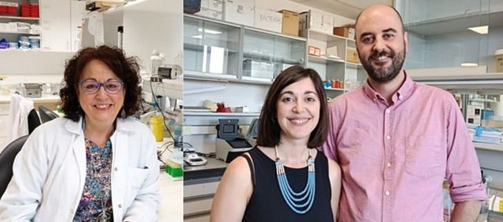 Una investigación revela nuevas terapias para el colangiocarcinoma liderada por el Centro de Investigación del Cáncer