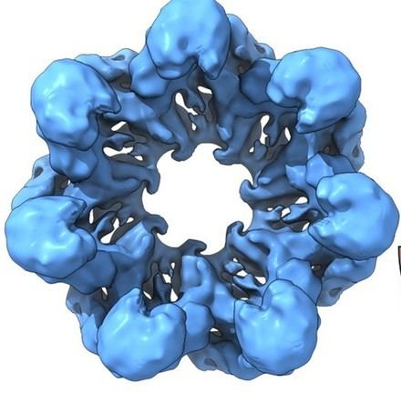 Científicos recrean proteínas de 4.000 millones de años para estudiar la evolución celular