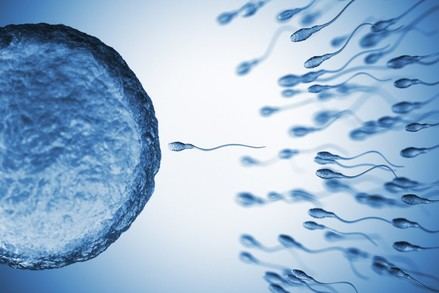 Estudio revela químicos en semen que pueden perjudicar la fertilidad masculina