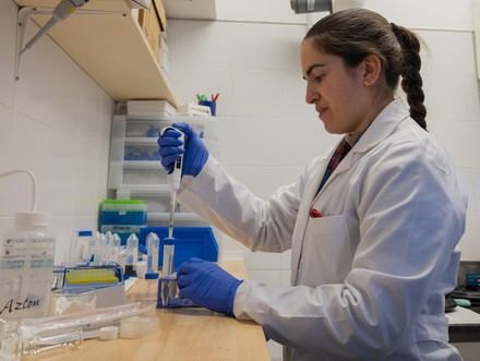 Nuevo material híbrido aumenta 80 veces la sensibilidad de sensores ópticos