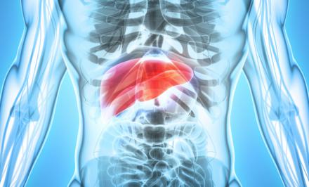Una investigación revela nuevas terapias para el colangiocarcinoma liderada por el Centro de Investigación del Cáncer