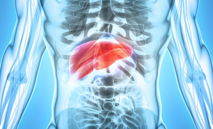 Una investigación revela nuevas terapias para el colangiocarcinoma liderada por el Centro de Investigación del Cáncer