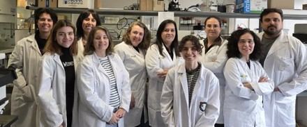 Investigadores descubren un antioxidante que previene infecciones en implantes biomédicos