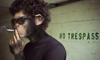 El mono es puramente mental