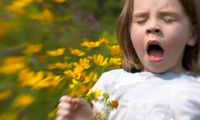 Un taller enseñará a los niños qué es la alergia al polen