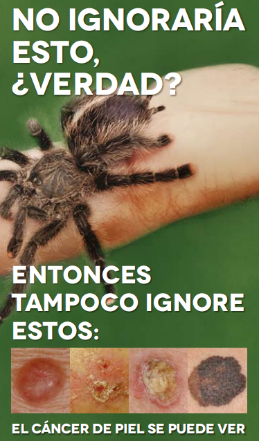 La campaña del Euromelanoma