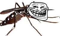 Diez consejos para mantener lejos a los mosquitos durante el verano